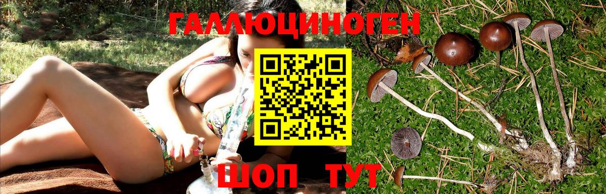Псилоцибиновые грибы MAGIC MUSHROOMS  Галлюциногенные грибы прущие грибы  Вход с VPN  Коряжма 