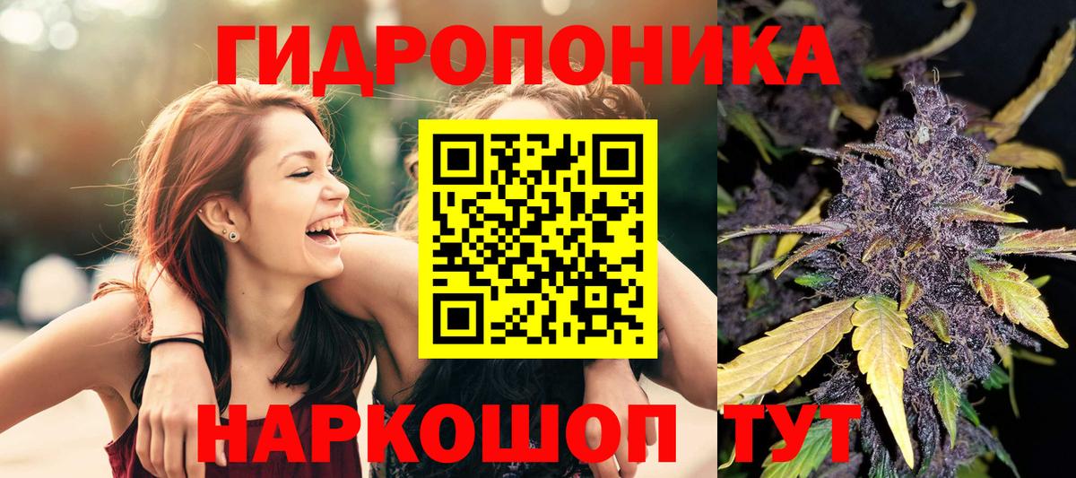 Бошки Шишки MAZAR  Вход с VPN  Шишки марихуана конопля  Коряжма  Шишки марихуана планчик 